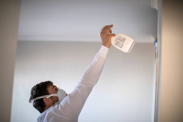 Best Mold Cleaning Services  in Franklin, NC
