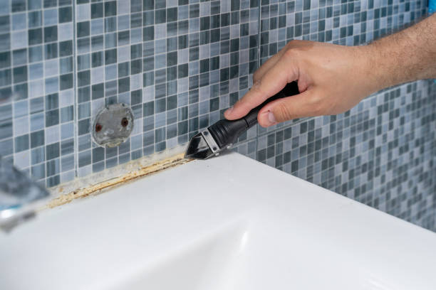 Best Black Mold Removal  in Franklin, NC